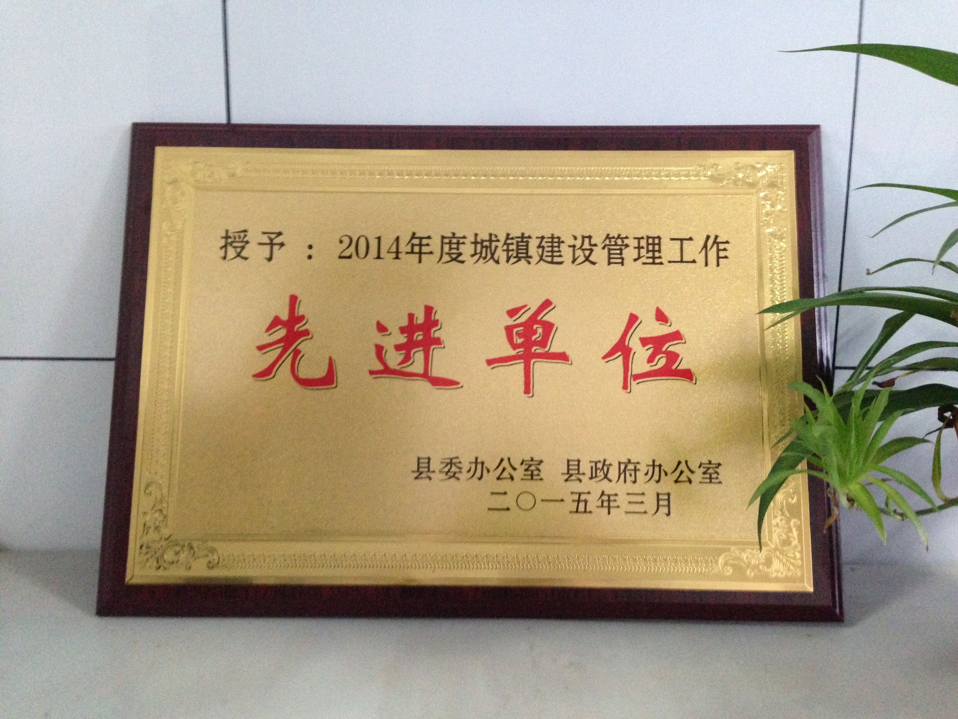 2014先进单位.jpg